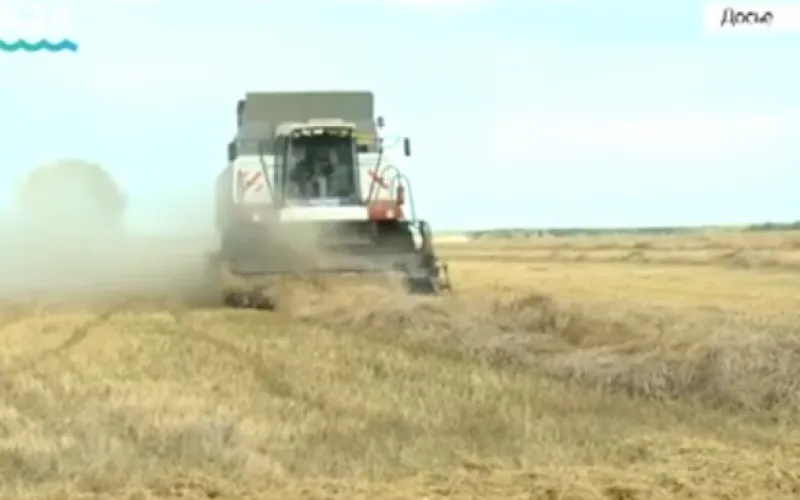 Зимняя зерновая конференция прошла в Белокурихе