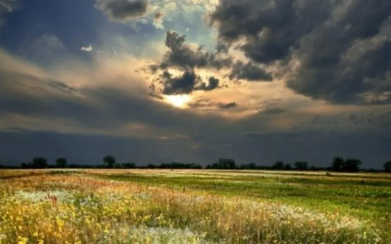 До +32 градусов потеплеет в Алтайском крае