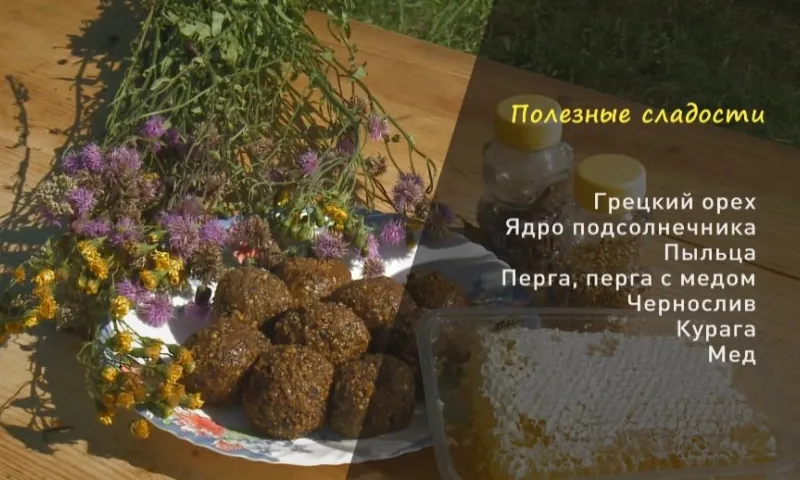 «Утренний канал»: полезные сладости