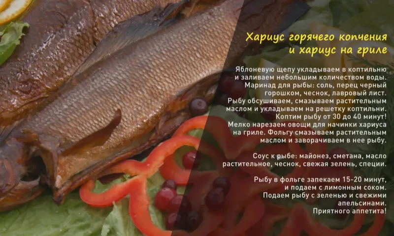 «Утренний канал»: готовим хариуса на гриле