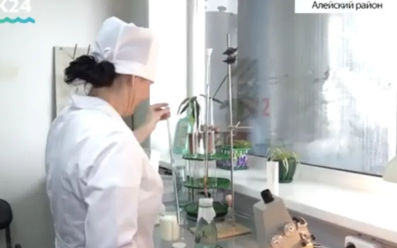 Специальный репортаж с заседания правительства Алтайского края о мерах по улучшению занятости инвалидов в Алтайском крае 