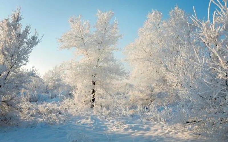 МЧС предупреждает о тумане и морозе  в Барнауле