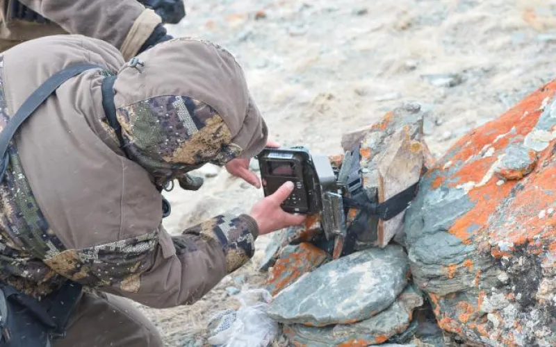 Автоматические камеры украдены в Сайлюгемском нацпарке 