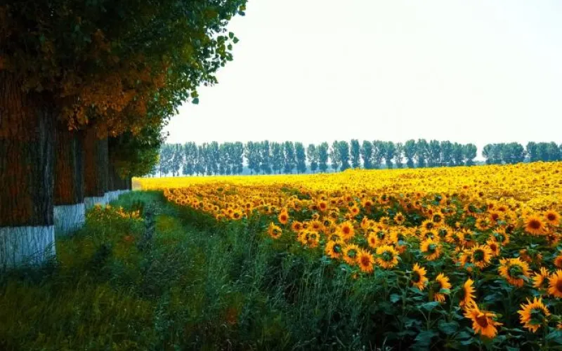 Начало отопительного сезона откладывается: тепло придёт в Алтайский край