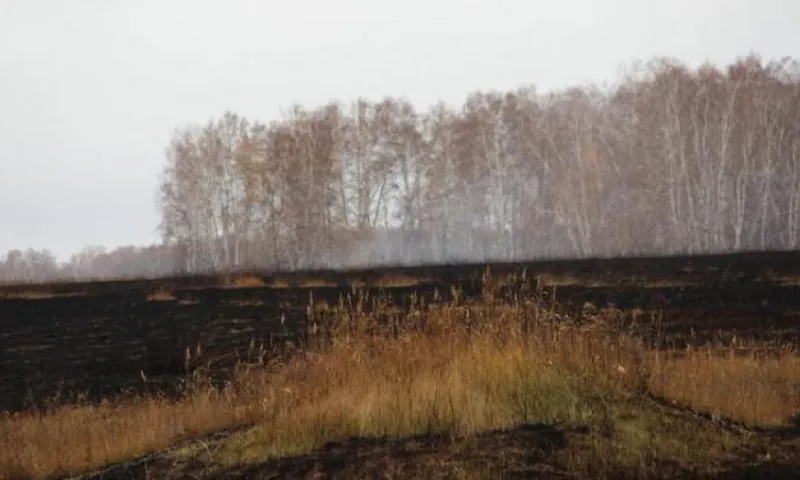Пожар около озера несколько часов тушили в Алтайском крае