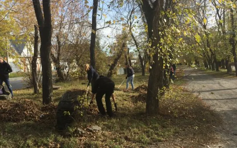 Студенты очистили от мусора и листьев аллею в Барнауле