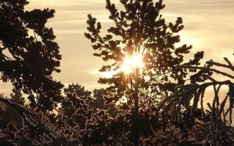 Ветрено и скользко: о погоде в Алтайском крае