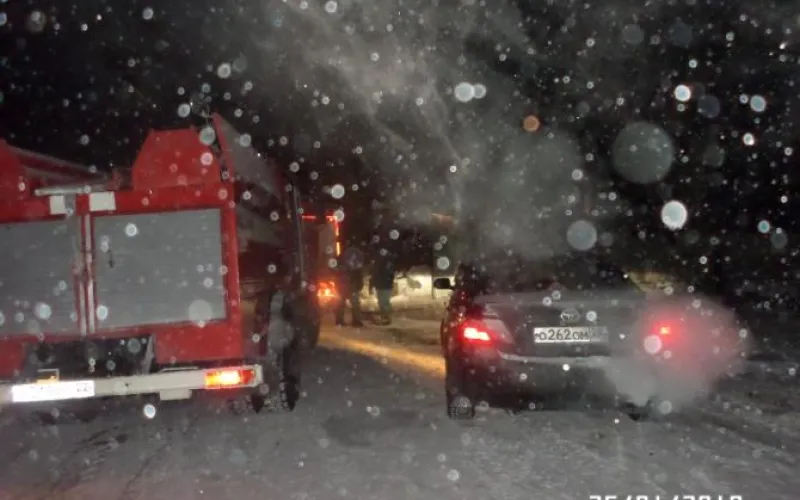 Важна любая помощь: в Бийске сгорел приют для животных