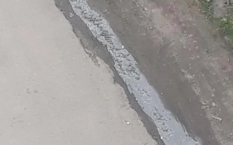 Барнаульцы рассказали о канализации, которая стекает в реку