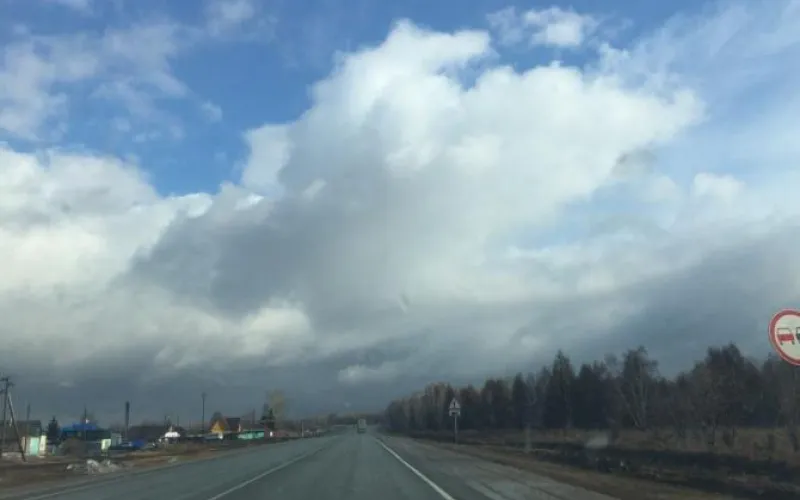 Повышаясь: о погоде в Алтайском крае 12 апреля