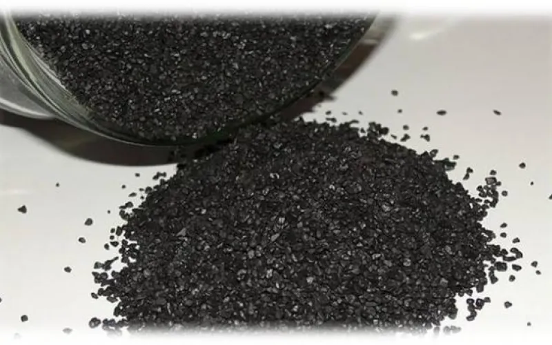 Нелегала-контрабандиста из Таджикистана осудили в Алтайском крае