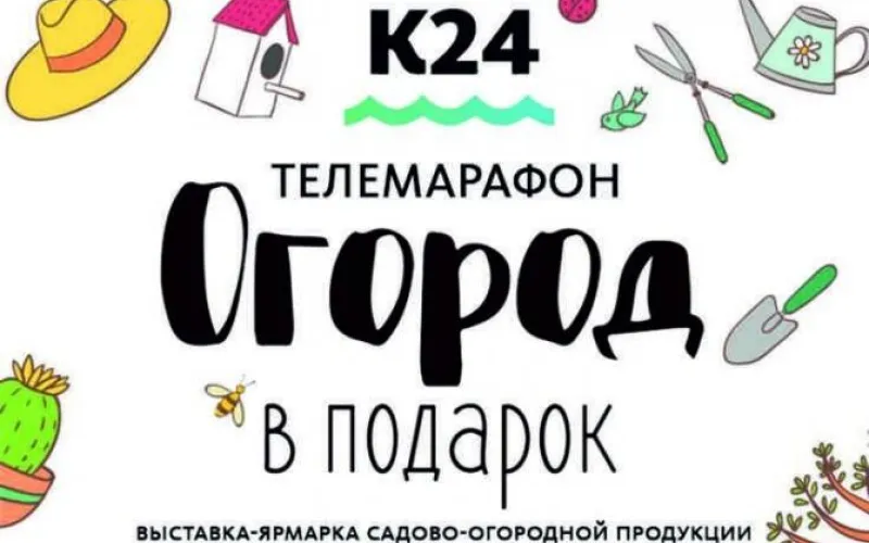 Фотоотчет: телеканал «Катунь 24» провел телемарафон «Огород в подарок»
