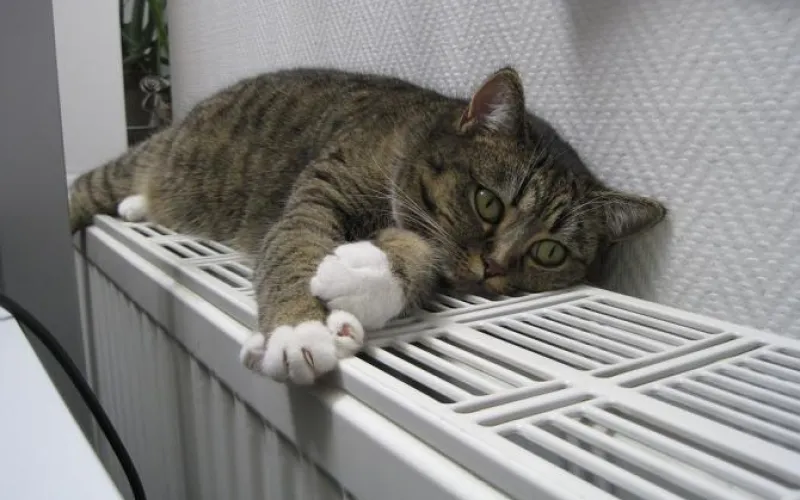 Подключение к отоплению продолжается в Барнауле