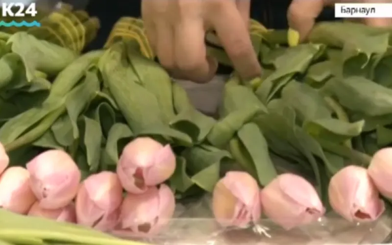 Цветочные ярмарки проходят в Барнауле 