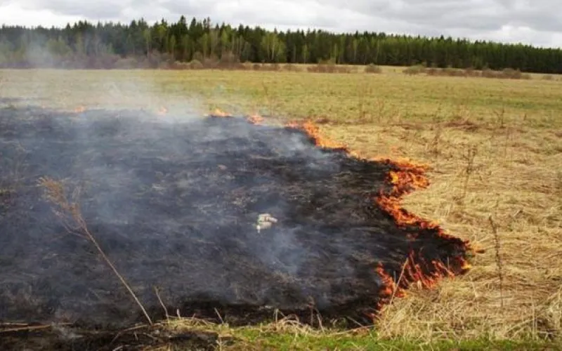 Алтайская прокуратура проверяет готовность к пожароопасному сезону