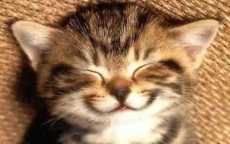 Жители Алтайского края рады длинным выходным 