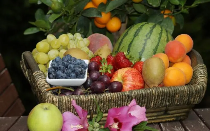 Сезон осенних продуктовых ярмарок начинается в Барнауле