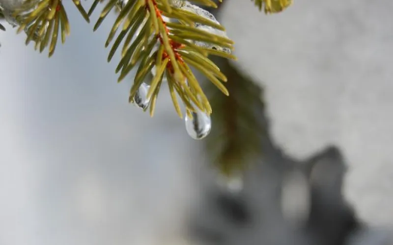 Стремительный разбег: о погоде в Алтайском крае 11 февраля