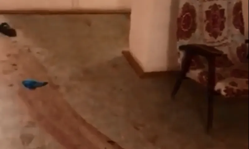 Появилось видео с места убийства двух строителей подростком в Алтайском крае