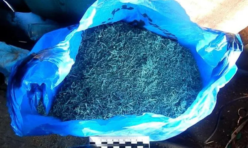 Житель Алтайского края хранил больше килограмма наркотиков в своей бане