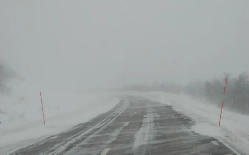 Метели вернулись в Алтайский край: о погоде 16 января