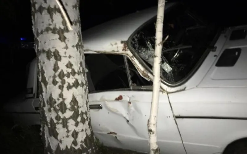 Автомобиль на скорости слетел с дороги и врезался в дерево в Алтайском крае