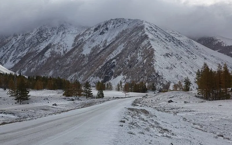Серия землетрясений произошла утром 23 января на Алтае