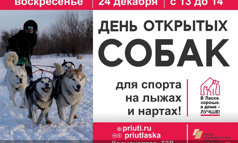 В приюте «Ласка» пройдет день открытых дверей