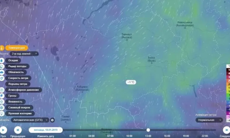 До +1: волна тепла накроет Алтайский край
