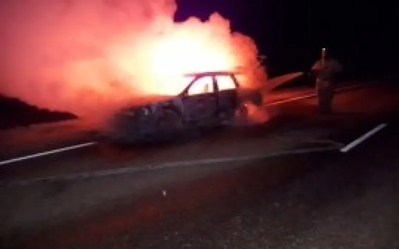 Автомобиль в Алтайском крае тушили 9 пожарных 