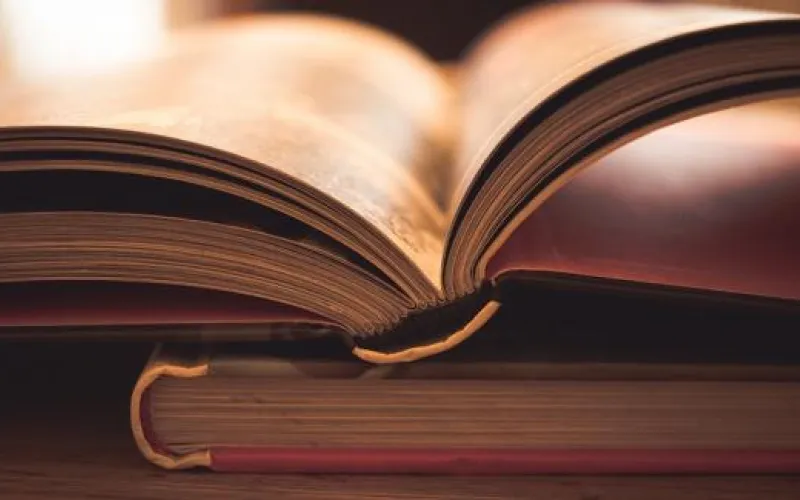 Лучшие книги Алтая-2017 назвали в Барнауле 