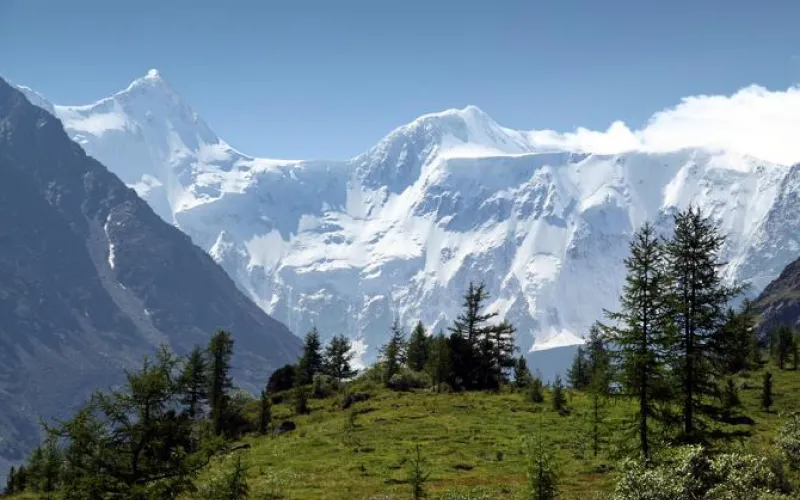 Розовые озера и оздоровительный сон на пчелах: новый очерк федерального фотопроекта посвятили Алтайскому краю