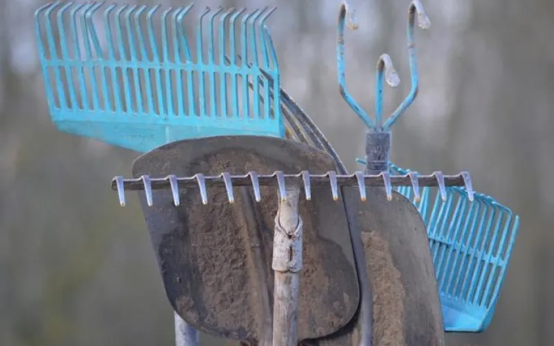 Субботник в четверг: барнаульцы занялись благоустройством