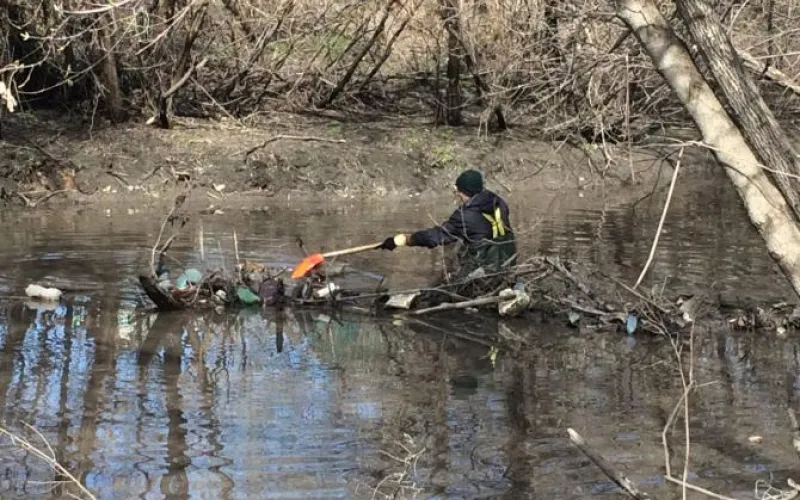 Куда исчезли бутылки с Пивоварки в Барнауле? 