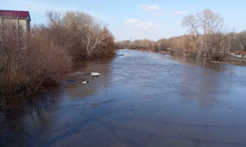 Уровень воды снижается в реке Алей в Рубцовске 