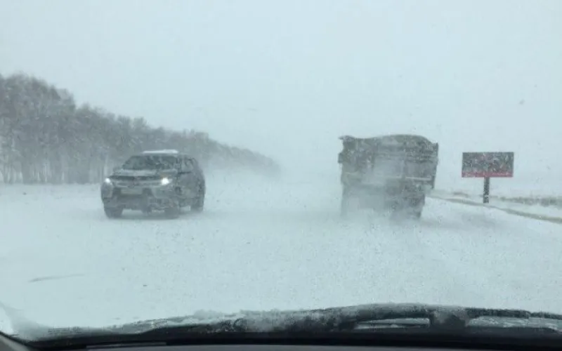 Почти две месячные нормы за сутки: снегопад в Алтайском крае