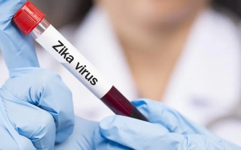 Жители Алтайского края могут пострадать от лихорадки Зика в Турции