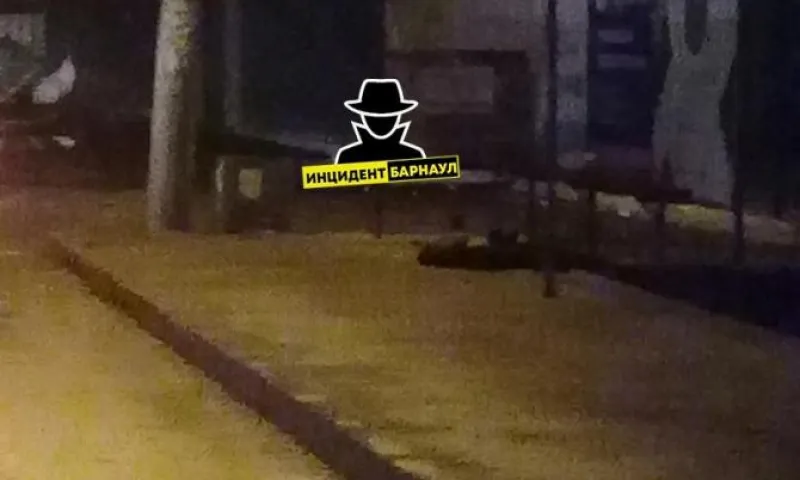 Женщина скончалась ночью на остановке в Барнауле