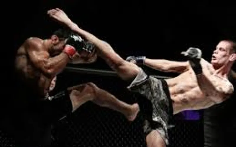 Чемпионат и первенство Алтайского края по смешанному боевому единоборству проходят в Барнауле