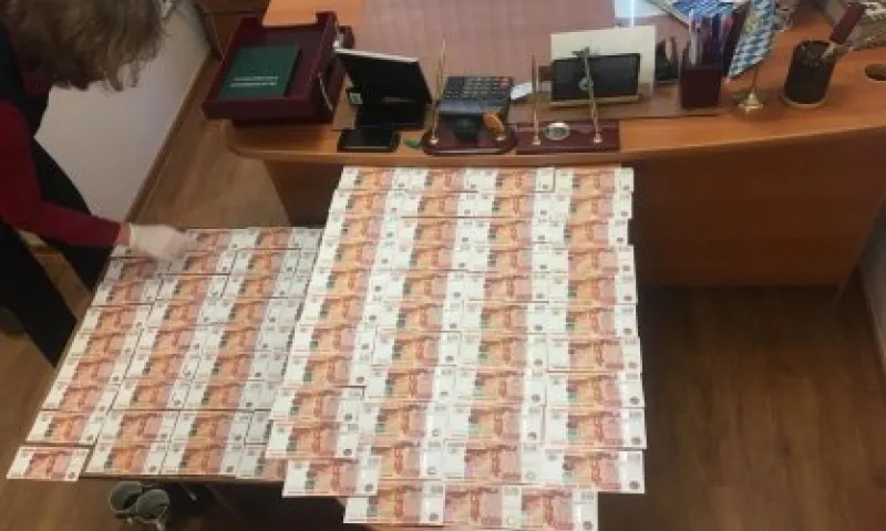 Барнаульского торговца лекарствами осудят за дачу взятки главврачу алтайской больницы