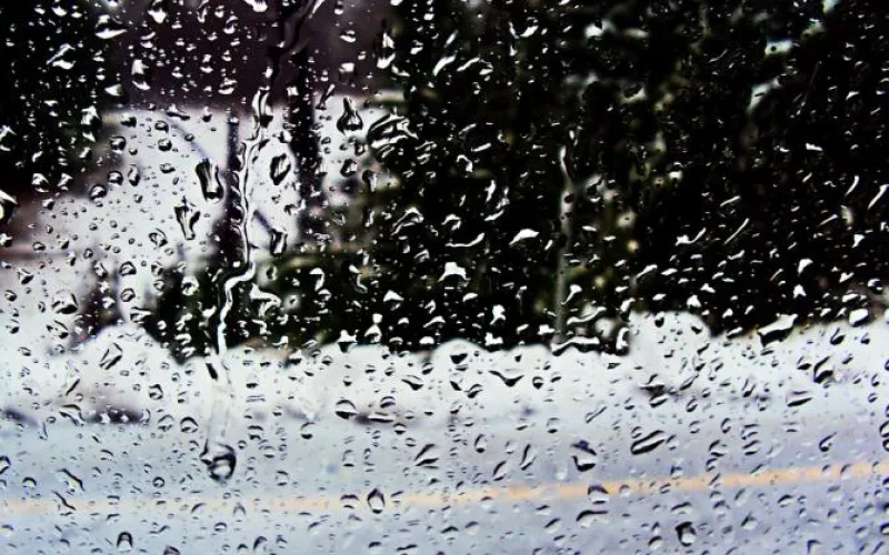 Снова дожди и снег: о погоде в Алтайском крае 17 апреля