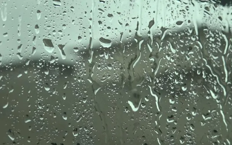 Месячная норма осадков выпала в Алтайском крае