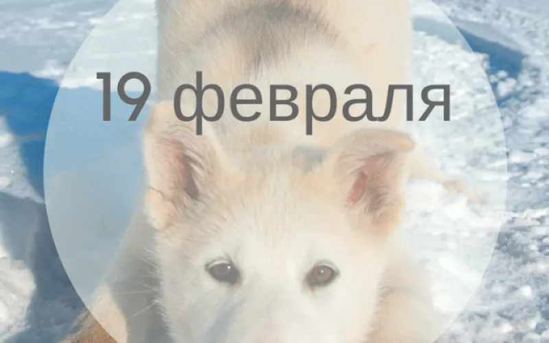 Планы на день: 19 февраля – понедельник. Начало рабочей недели. С чего она начнётся, мы расскажем чуть подробнее