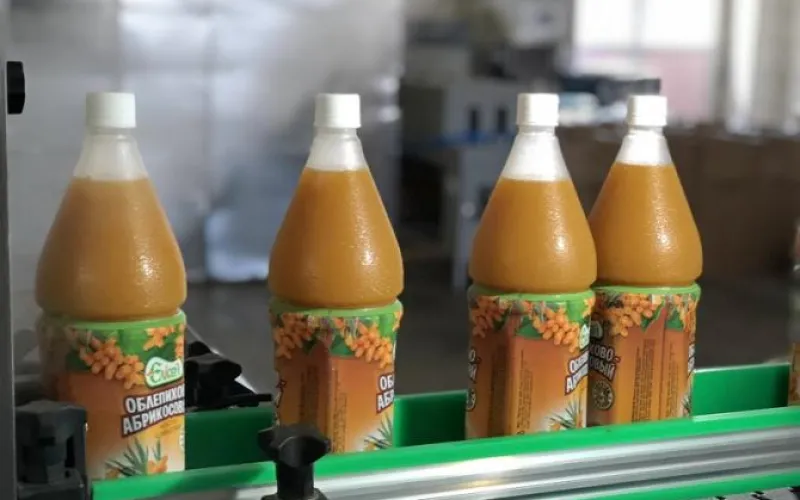 Новая линия горячего розлива соков запущена в Алтайском крае