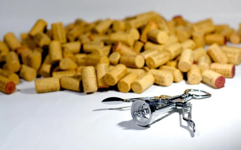 Депутаты Государственной Думы предлагают ввести сухой закон