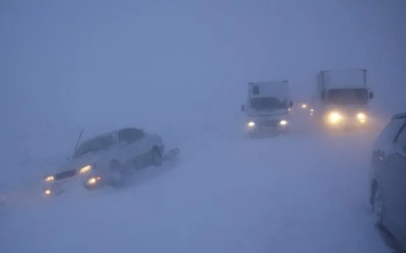 Снежный шторм в Алтайском крае: о погоде 22 февраля