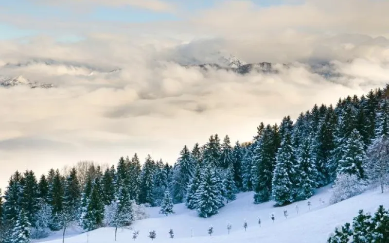 Праздник «Алтайская зимовка» пройдет на «Бирюзовой Катуни»