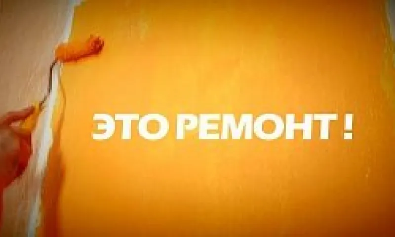 «Это ремонт!»: эко-стиль, мох ягель или как озеленить квартиру, если нет времени на уход за растениями?