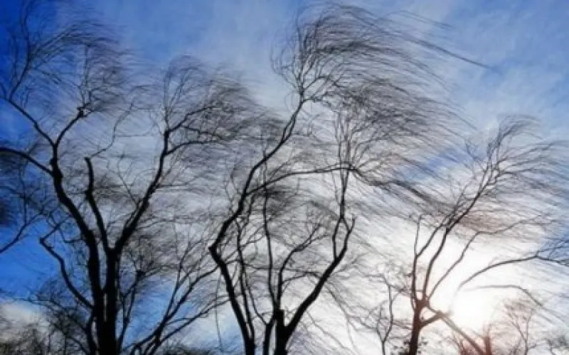 МЧС предупреждает: сильный ветер придет в Алтайский край