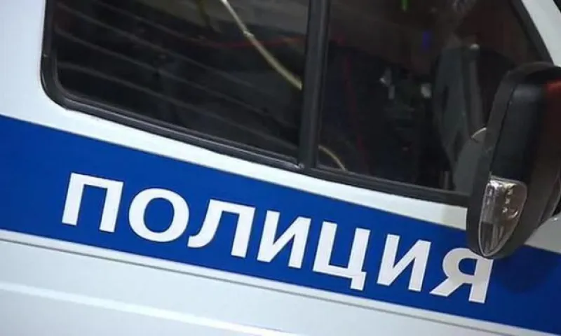 Полицейские двое суток искали многодетную мать из Алтайского края 